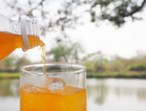 How-to-Make-Kombucha