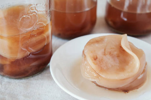 Is-Kombucha-Alcoholic