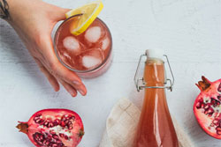 kombucha-recipes